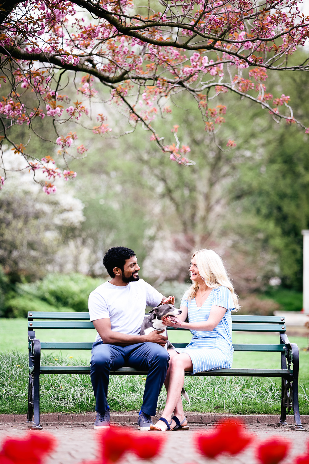 engagement portraits with dog - hannah timm photography
